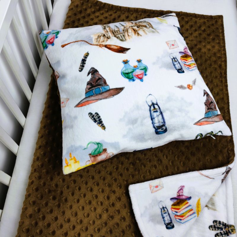 wizarding school pillow cover