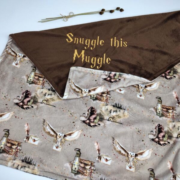 wizarding school minky blanket
