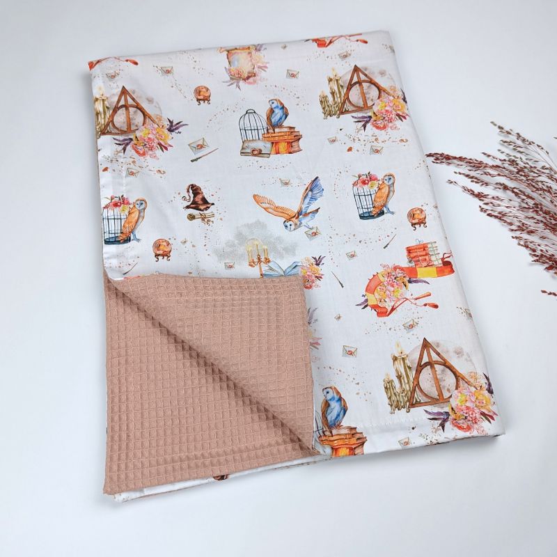 Wizarding School Blanket