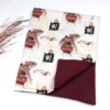 Wizard Express Train Blanket