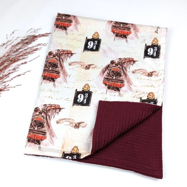 Wizard Express Train Blanket