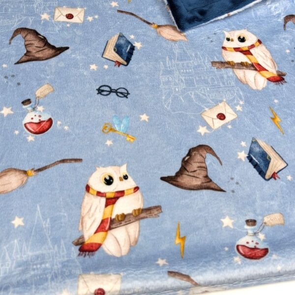 hp sorcerer minky blanket