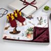 wizard mail gift set