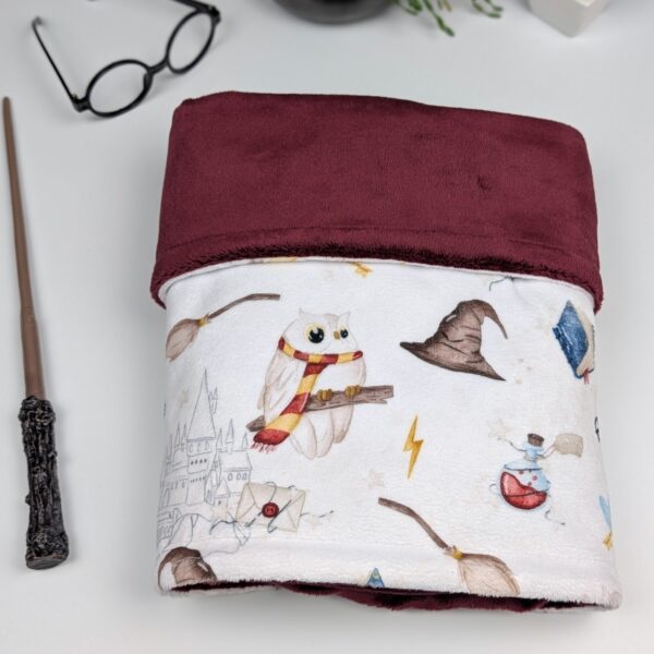 little enchanter minky blanket