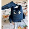 perrsonalized wizard owl toy