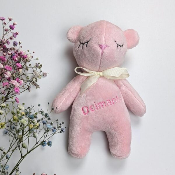 personalized teddy bear